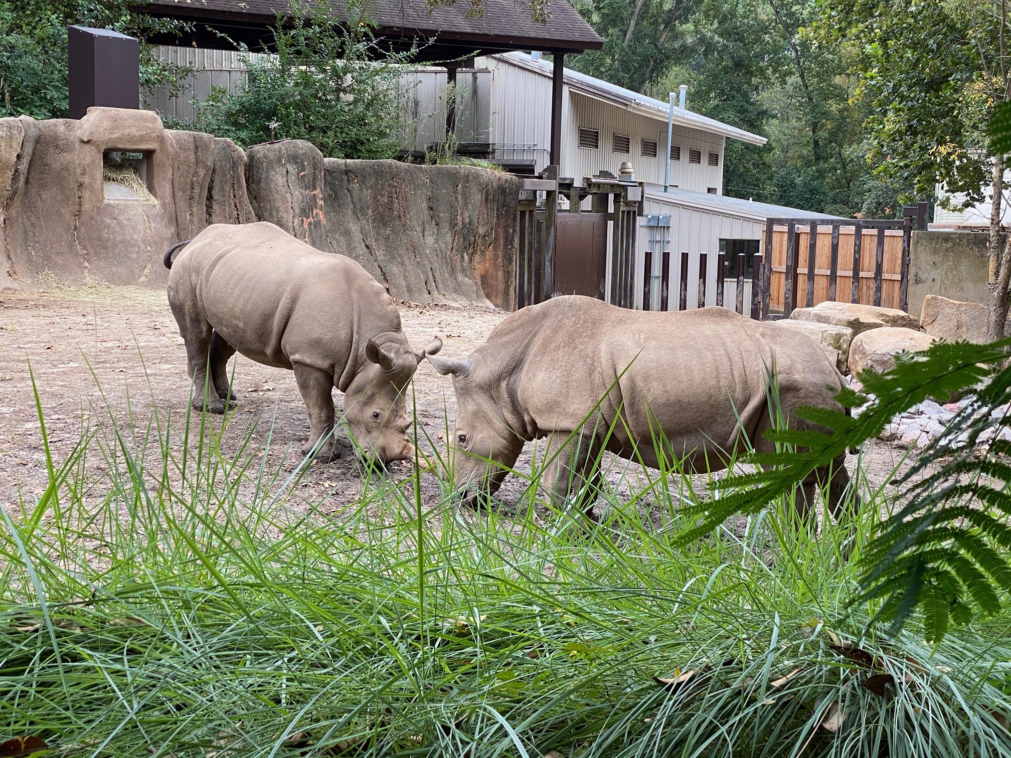 Gallery: Tanner Family and Friend Visit The SC Zoo