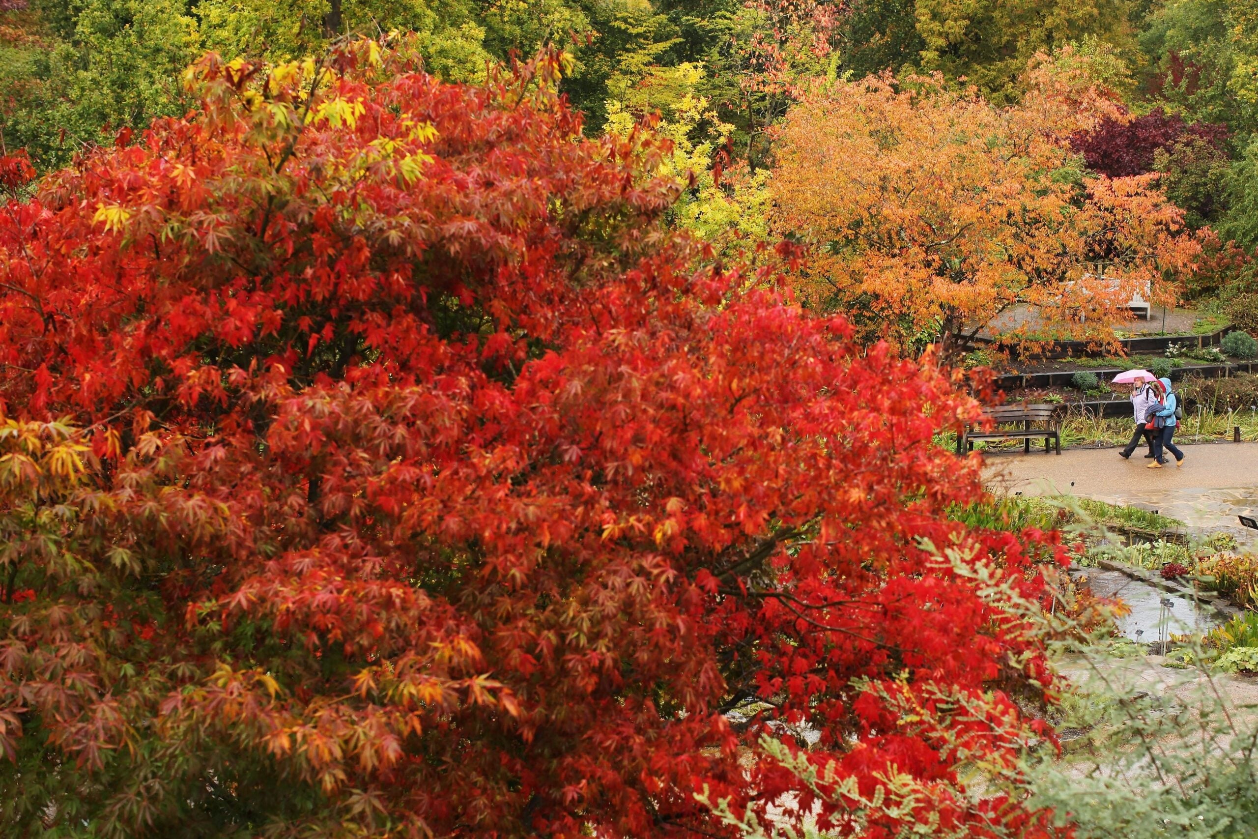 the-best-places-to-see-fall-colors-in-north-carolina